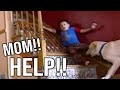Family Dog Drags Kids Around The House