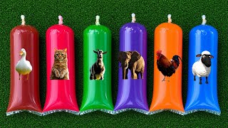 UNBOXING ANIMALS : Cow, duck, elephant, hen, cat, gorila, monkey, horse, zebra, crocodile, giraffe
