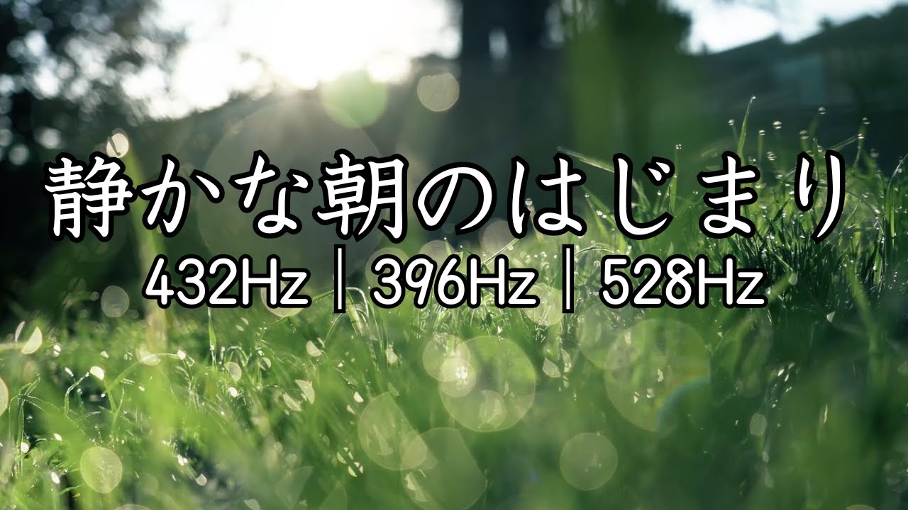 【聴くだけで運気が好転】528Hz 陽だまりの草原エネルギー｜潜在意識を光で満たし最高の1日を創る朝の瞑想音楽｜Calm Field Morning