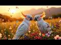 Relaxing Birdsong &amp; Gentle Piano 🌿 Quiet Forest Nature 🍃 Focus Better &amp; Calm Your Mind