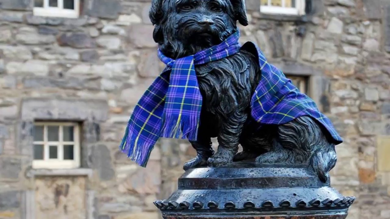 Greyfriars Bobby, a tale of loyalty - YouTube