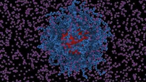 Nanoparticle sourrounded by solvent particles.