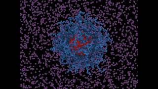 Nanoparticle sourrounded by solvent particles.