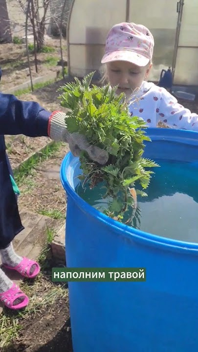 Делаем настой из травы для подкормки. #огород #органическоеземледелие ...