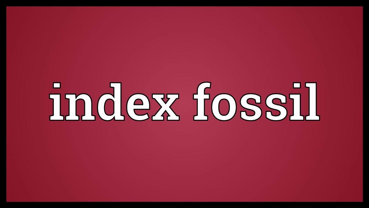 Index fossil Meaning YouTube