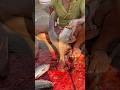 Ruhi fish cutting in local fish market #shorts #fish #fishcutting #fishcooking