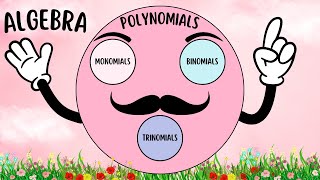 Polynomials - Classifying Algebraic Expressions as Monomials, Binomials and Polynomials