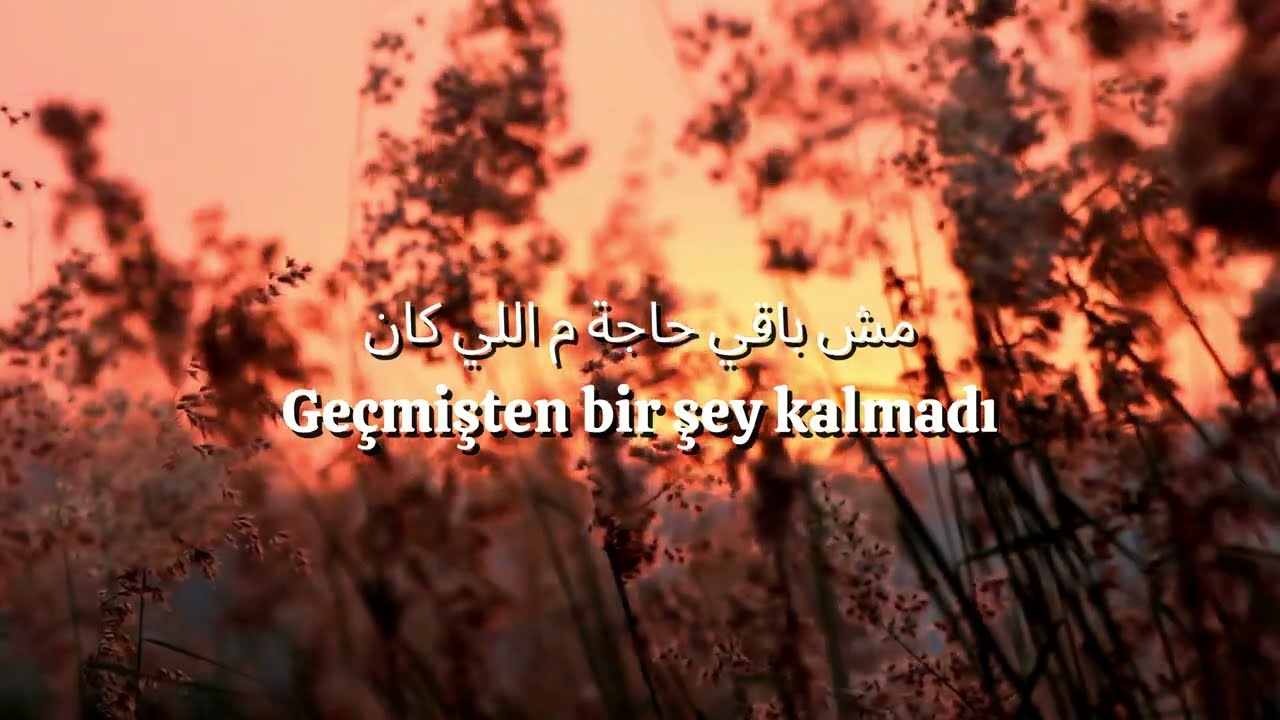 Reyah El Hayah - Hamza Namira | رياح الحياة - حمزة نمرة ( Türkçe çeviri + Lyrics)