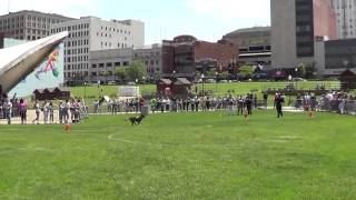 Akron Police - 3rd Annual K9 Challenge - Milo