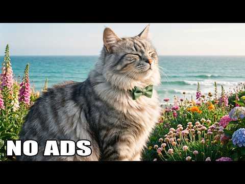Sleep Music for Cats and Kittens – Cats Music to Soothe, Relax, and Comfort Your Furry Friend 😺🌿