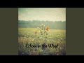 Echoes In The Wind mp3