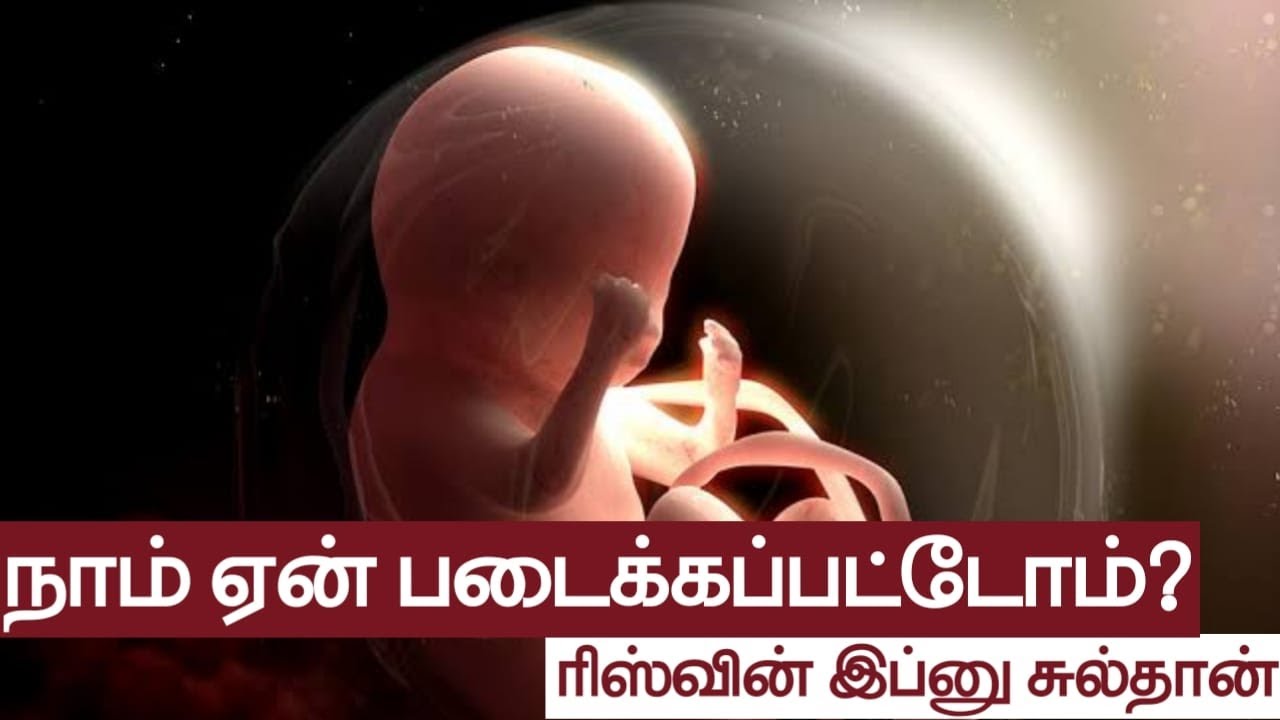 நாம் ஏன் படைக்கப்பட்டோம்?ᴴᴰ┇ரிஸ்வின் இப்னு சுல்தான்┇Way to Paradise Class