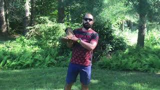 LALO Tactical SHADOW JUNGLE CB/UCB Boots - HONEST REVIEW