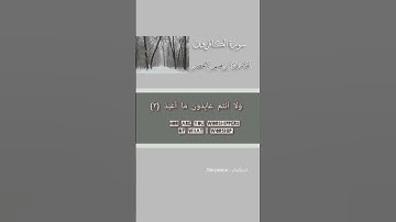 سورة الكافرون للقارئ ابراهيم الأخضر|Surah Al-Kafirun,Ibrahim Al-Akhdar