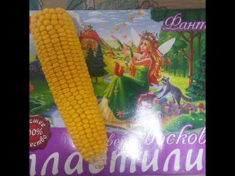 Поделка из кукурузы своими руками для школы