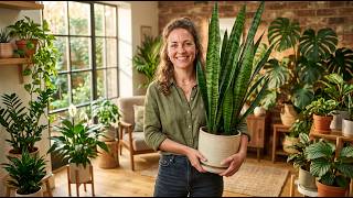 Save a Dying Snake Plant FAST! 🌿 7 Proven Steps That Actually Work screenshot 4