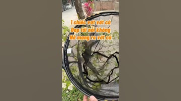 Chiếc vợt vớt cá đẹp tới nỗi không nỡ mang đi vớt cá? #votvotcalk #combovotvotcalkhoa