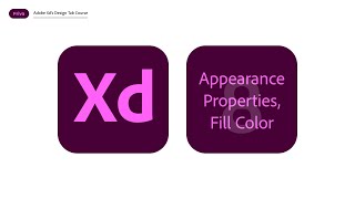 Adobe Xd Color Picker (In Depth)