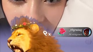 INARA LIVE TIKTOK DAPET GIFT SINGA ,BANJIR GIFT ,ALHAMDULILLAH