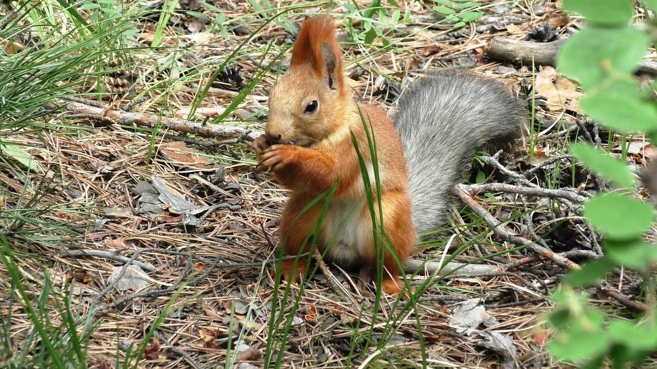 Вкусная находка | Tasty discovery