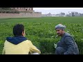 حقوق بسيطه تجنيد سوهاج الحاج عقبي 🤣