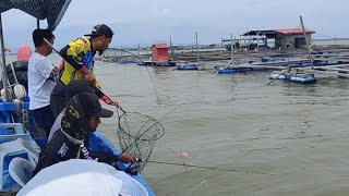 14/05/2024 Trip Mancing at Sangkar Sungai Udang Penang