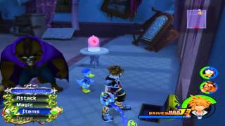 [21] Kingdom Hearts II: The Beast