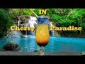 How to make a cherry in paradise cocktail  drinks made easy