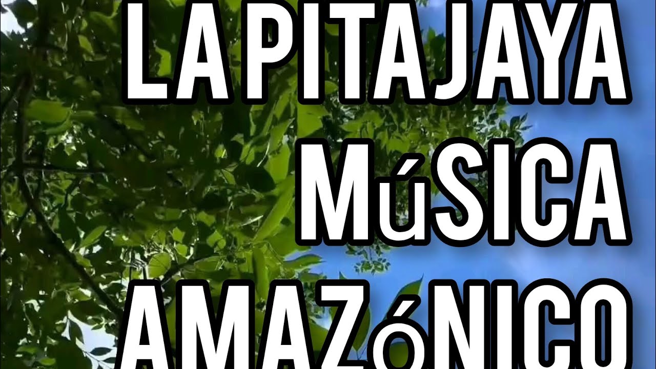 La pitajaya cuando yo la conocí ft Music Amazónico Ciudad andina 🎵🎼🥰