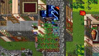 Dranka - Tibia Enforced Part 1