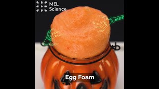 Egg Foam