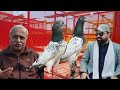 Ustad nayab haider of lahore ki chat se breeder pigeons