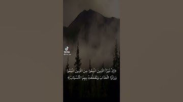 إِذْ تَبَرَّأَ الَّذِينَ اتُّبِعُوا مِنَ الَّذِينَ اتَّبَعُوا -سورة البقرة آية 166