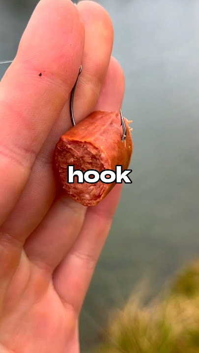 Fishing with a HOTDOG 🐟🎣 #fishing