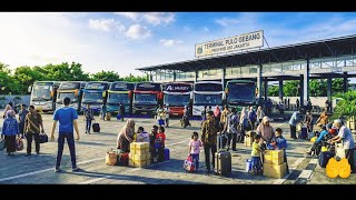 Live Mabar Bus Simulator Indonesia Puncak Arus Mudik Sore