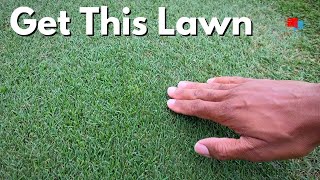 Dark Green Grass and Less Mowing with One Product screenshot 5