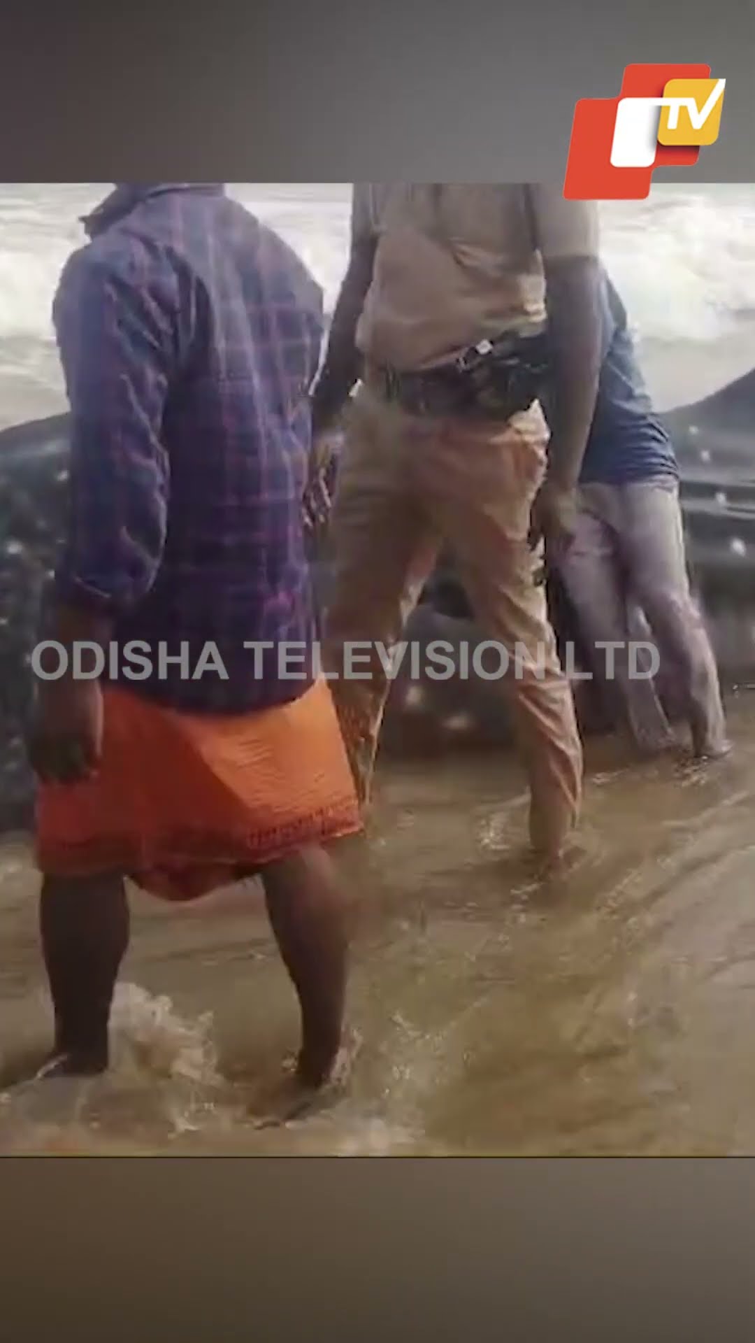 ଭାସିଆସିଲା ବିରାଟ ମାଛ, ୟା ନାଁ କହିଲେ ଦେଖି #seabeach #bigfish #Berhampore #Odisha #OTV