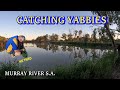Catching Yabbies / Cobdogla - South Australia