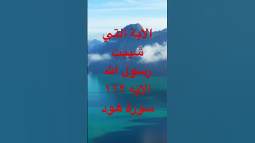 سورة هود الاية ١١٢ #الجزائر #اكسبلور #مصر #تيك_توك #لايك #ترند #duet #قرآن #راحة_نفسية #دويتو #قطر