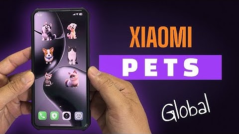 How To Active Xiaomi Pets Widget On Xiaomi Global Without Back Up File | Tech in Hand