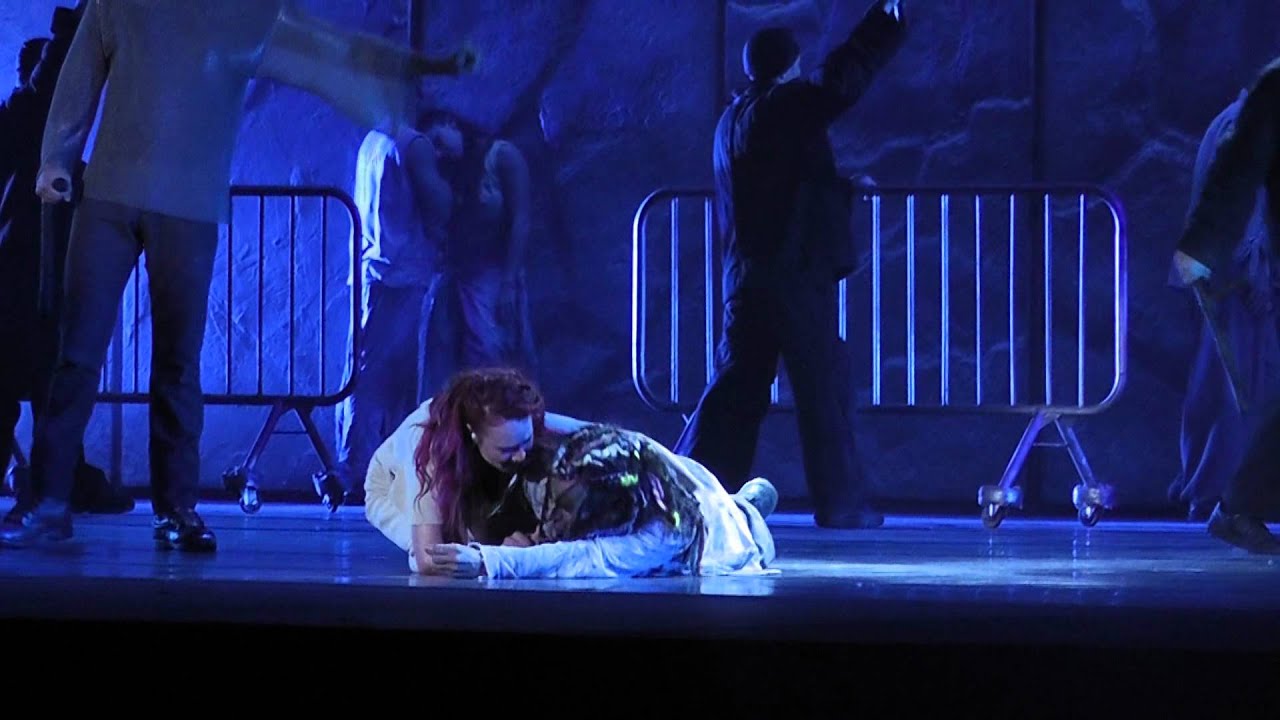 Notre Dame De Paris - Live Arena Di Verona Film