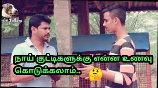 நாய் குட்டிகளுக்கு என்ன உணவு கொடுக்கலாம்.. ( dog feeding tips)###