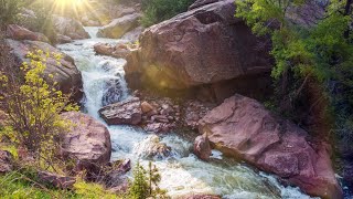 Beautiful Mountain River Flowing Sound. Forest River, Relaxing Nature Sounds/ Sleep/ Relax 10 hours