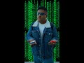 vlog casa (two coin)