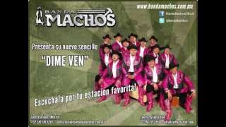 Video thumbnail of "Banda Machos - Dime Ven"