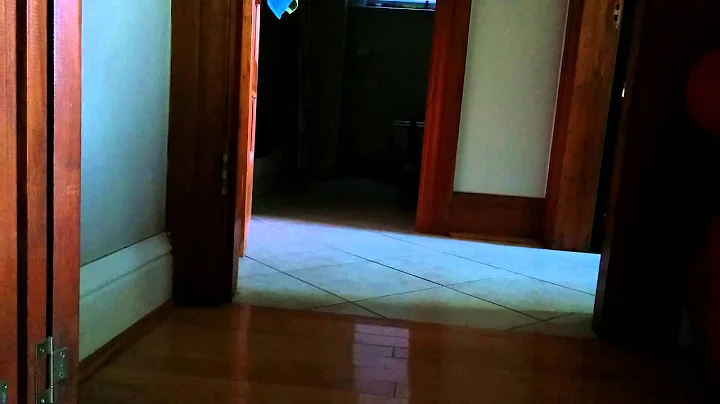 Ace playing fetch