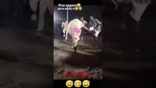 Kitna Mast Dance Hai Goriya Bhula Jaibu Maihar Ke Mela Mein Song