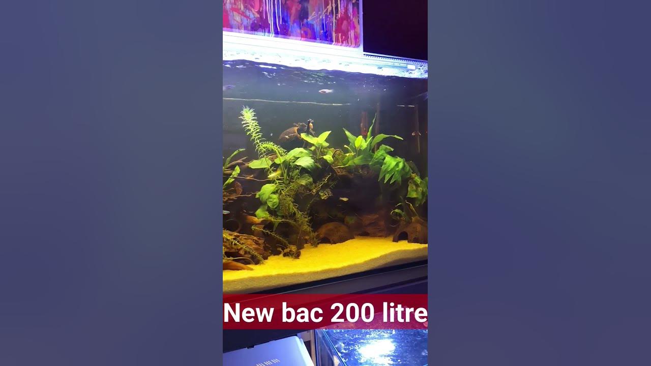 New bac 200 litres - YouTube
