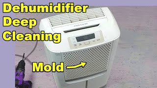 How I Cleaned a Dehumidifier  Deep Cleaning Moldy Coils, the Bucket, and the Filter