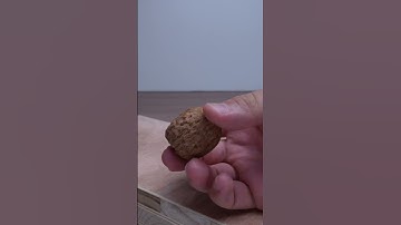 Crack it with a 3d-printed hammer!!! 🔨